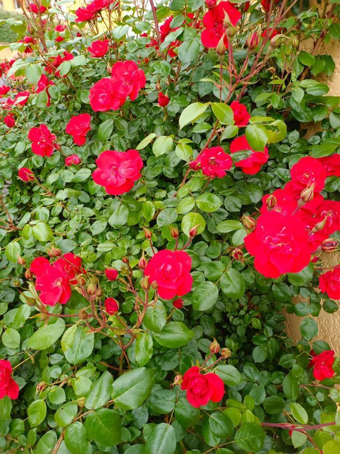 La Maison Des Roses Chadrac Exterior foto